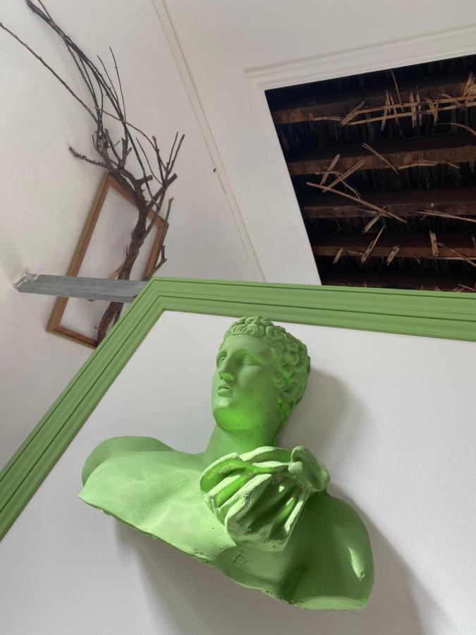 Tenerife Art Hostel ซานตาครูซ เด เตเนริเฟ ภายนอก รูปภาพ